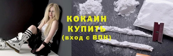 соль ск Михайлов