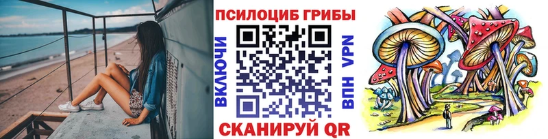 купить   Ревда  Галлюциногенные грибы Psilocybine cubensis 