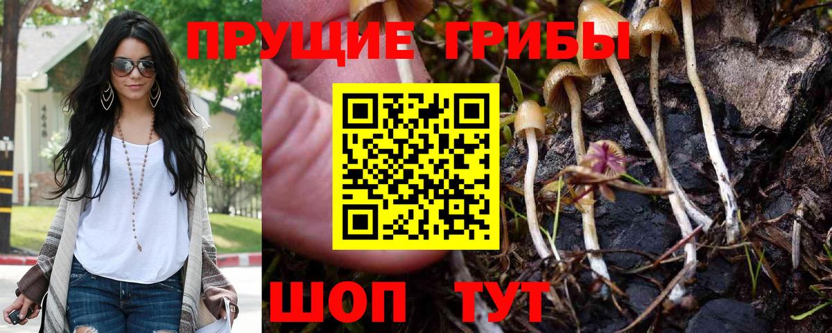 Ревда  Галлюциногенные грибы ЛСД  Вход с VPN 